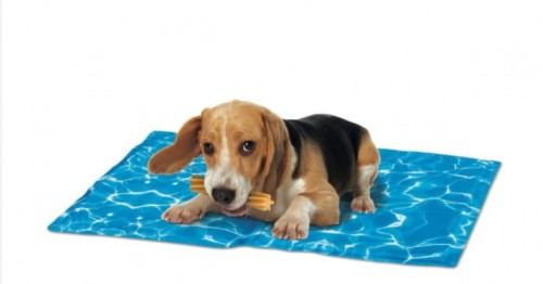 Poduszka chłodząca Doggy 1.jpg