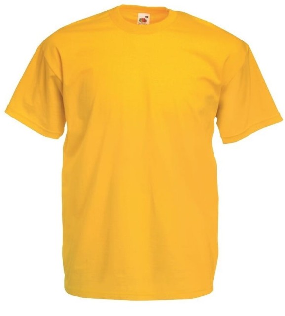 Koszulka Fruit of the loom 15.jpg