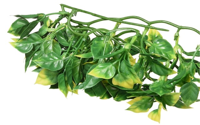 amapallo 2 — kopia.jpg