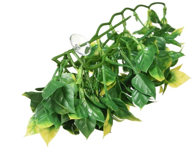 amapallo 3 — kopia.jpg