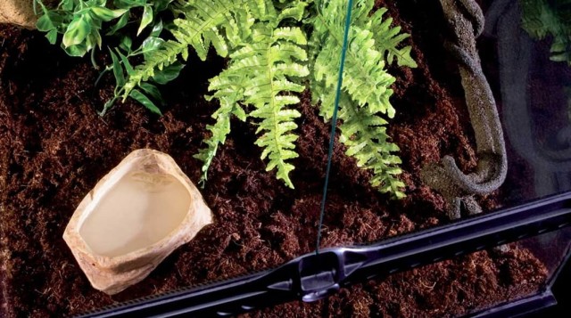 Exo Terra miseczka do terrarium PT2802 3.jpg