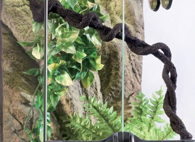 Exo Terra liana 1.jpg