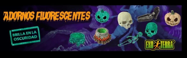 Exo terra poidło flueroscencyjne do terrarium. 3.jpg