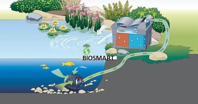 biosmart 5.jpg