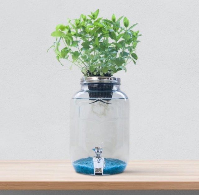 Blue Jar kreatywny system hydroponiczny 2.jpg