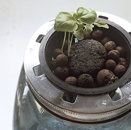 Blue Jar kreatywny system hydroponiczny 3.jpg