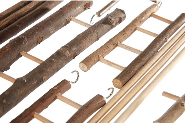 Plac zabaw dla ptaków 3.jpg