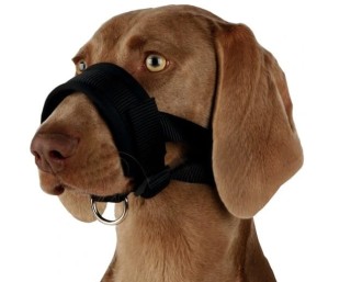 Kaganiec materiałowy TRIXIE XXL