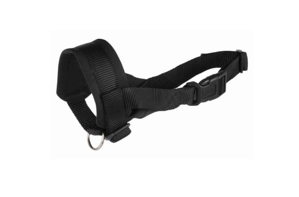 kaganiec dla psa.jpg