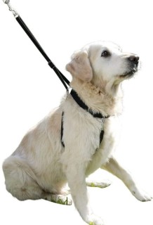 Uprząż trenerska  30-45 cm KERBL