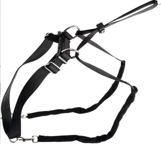 OBROŻA DO TRESURY.jpg