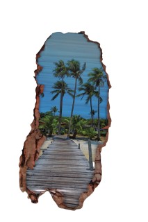 Fototapeta 3D zejście na plażę naklejka ścienna winylowa 50x135 OUTLET