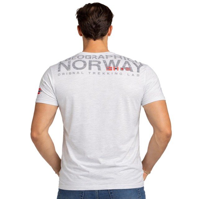 Koszulka męska szara Geographical Norway tył na modelu t-shirt bawełniany