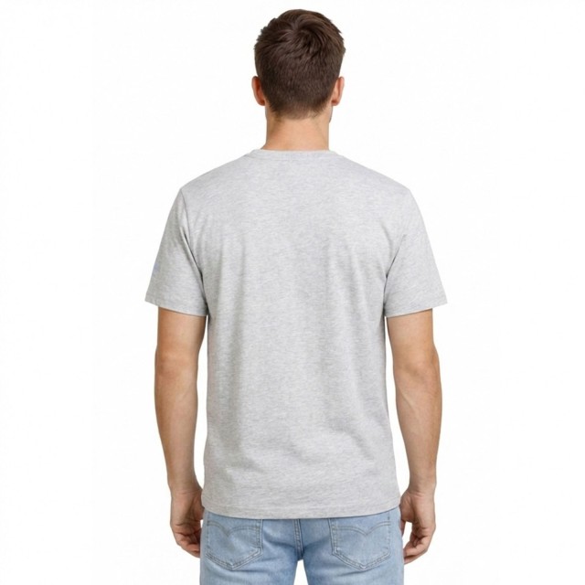 Geographical Norway Jodana Men Grey koszulka męska szara tył na modelu