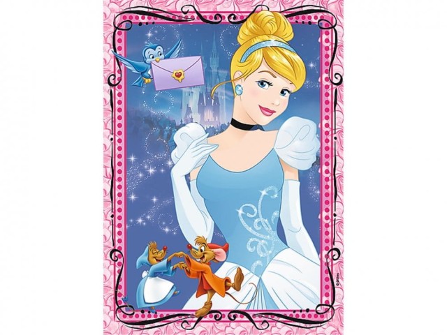 TREFL KSIĘŻNICZKI 1.jpg