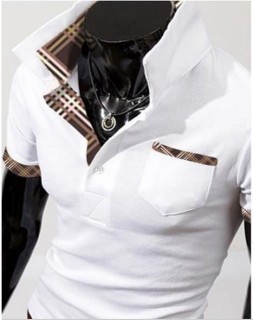 Męska koszulka Polo Zacard w 5 kolorach