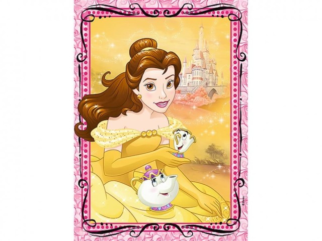 TREFL KSIĘŻNICZKI 2.jpg