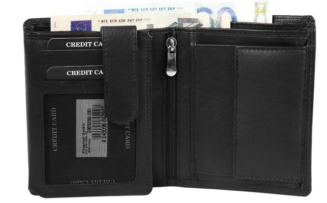 Leonardo Verrelli  portfel.jpg