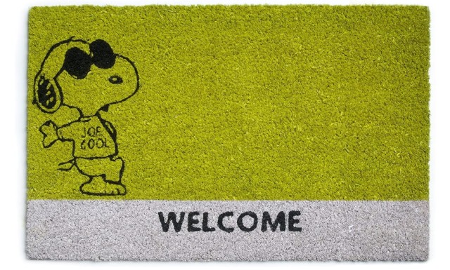 mata-wycieraczka 1.jpg