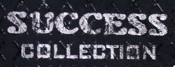 Success